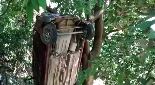 नशे में सड़क से नीचे उतार दी गाड़ी, पेड़ ने बचा ली तीन की जान।