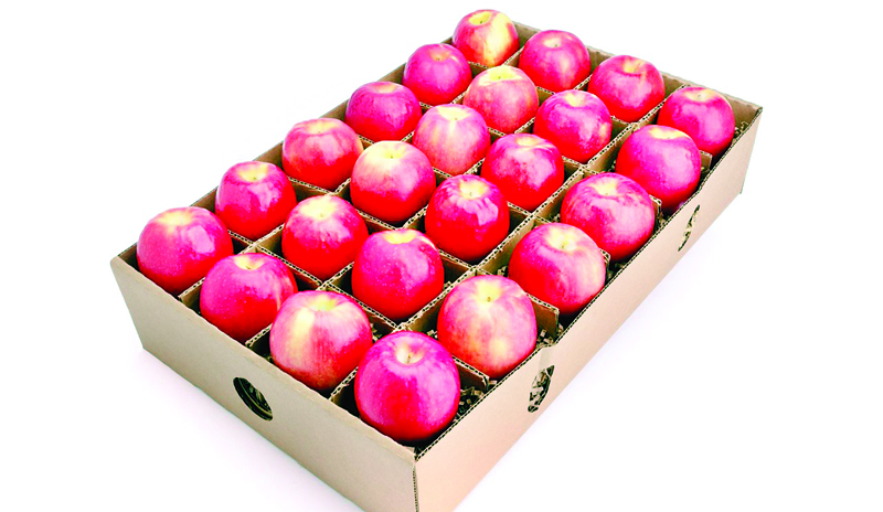 हिमाचल सरकार लेगी आठ रुपए किलो सेब