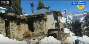 मौसम साफ…घरों से बर्फ हटाने लगे लोग।