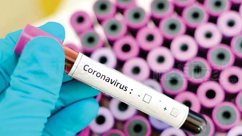 विश्व में कोरोना संक्रमितों की संख्या 54 लाख से अधिक, 3.45 लाख कालकवलित