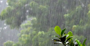 येलो अलर्ट के बीच प्रदेश में सात मिलीमीटर बारिश