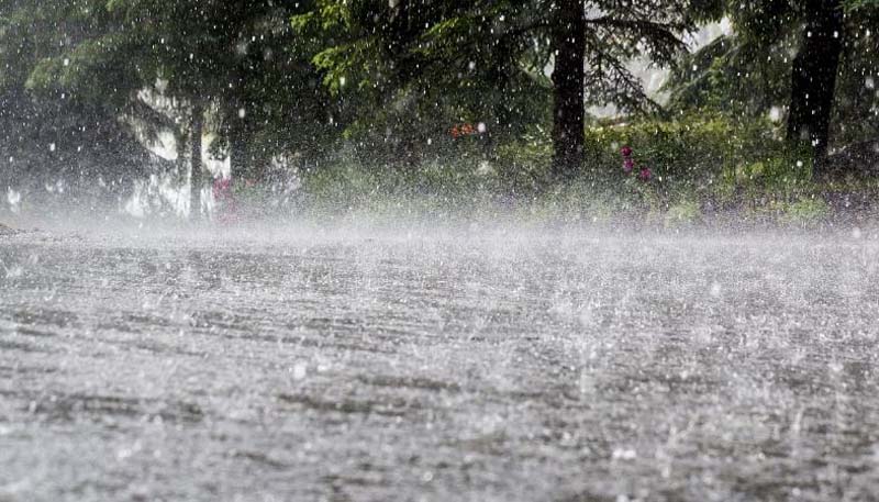 क्षेत्र में मानसून शिथिल पड़ने से उमस भरी गर्मी ने पकड़ा जोर, अगले अड़तालीस घंटों में  बारिश के आसार
