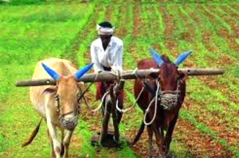 कृषि सुधारों में कमजोर संवाद: प्रो. एनके सिंह, अंतरराष्ट्रीय प्रबंधन सलाहकार