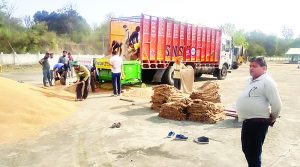 फतेहपुर में नहीं बिक पाई 250 क्विंटल गेहूं