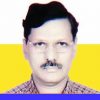 नरेंद्र चौधरी, स्वतंत्र लेखक