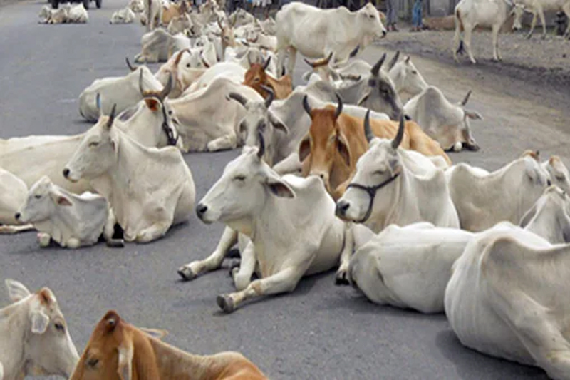 गौधन को मिले संवैधानिक संरक्षण