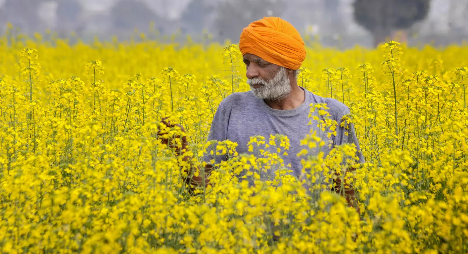 किसानों की संवेदनाएं समझें सत्ताधीश