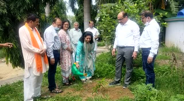 परवाणू में बुजुर्ग महिला ने किया पौधारोपण अभियान का आगाज, काठगढ़ में ईं. नवीन ने लगाया रूद्राक्ष का पौधा