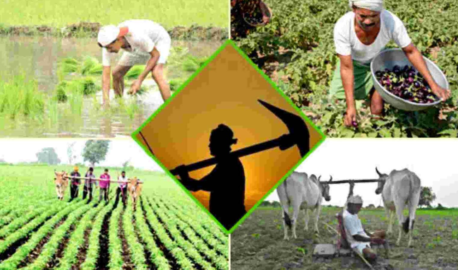 अब कृषि सुधारों की नई अहमियत