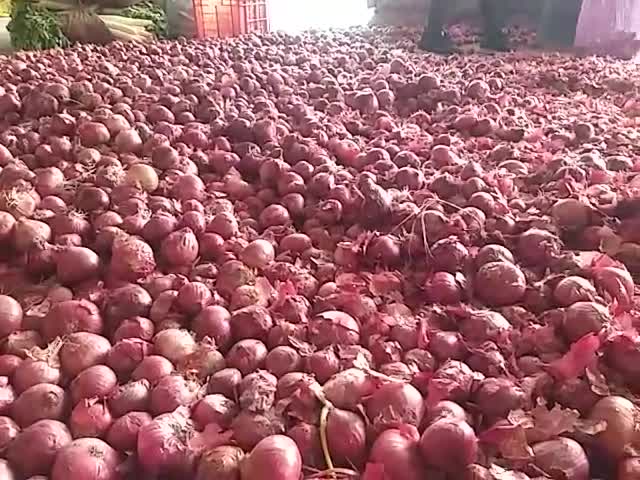 सोलन सब्जी मंडी में नासिक का प्याज, चार हजार बैग पहुंचे
