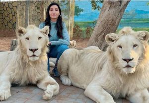 नोरा फतेही ने सफेद शेरों के साथ खिंचवाई फोटो