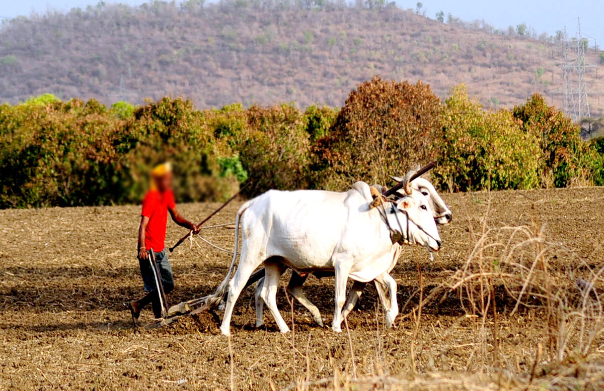 छोटे किसानों का सशक्तिकरण