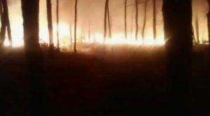 अमलेहड़ के जंगल मे भीषण आग, लाखों की वन संपदा स्वाह
