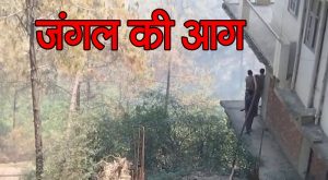 Solan News: सोलन में नहीं थम रही जंगलों की आग, अब इस जगह उठी लपटों ने मचाई तबाही