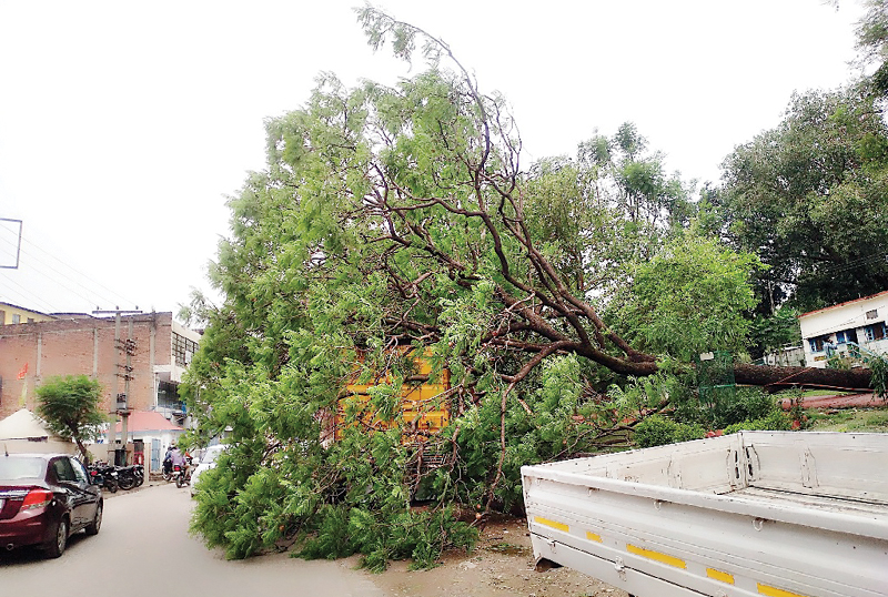 तबाही का तूफान…सड़कों पर पेड़ धड़ाम