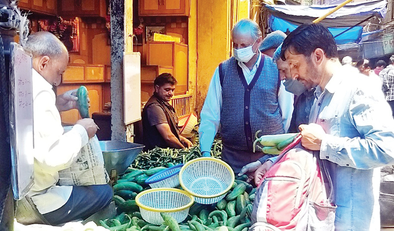 शिमला में कम रेट के साथ मार्केट में फिर लौटा गायब नींबू