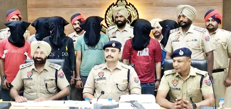 होशियारपुर में लुटेरा गिरोह का भंडाफोड़; पुलिस ने दबोचे छह शातिर, हथियारों का जखीरा भी शामिल