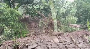 बिलासपुर के हरलोग में बादल फटा, पहाड़ी से गिर रहे पत्थर