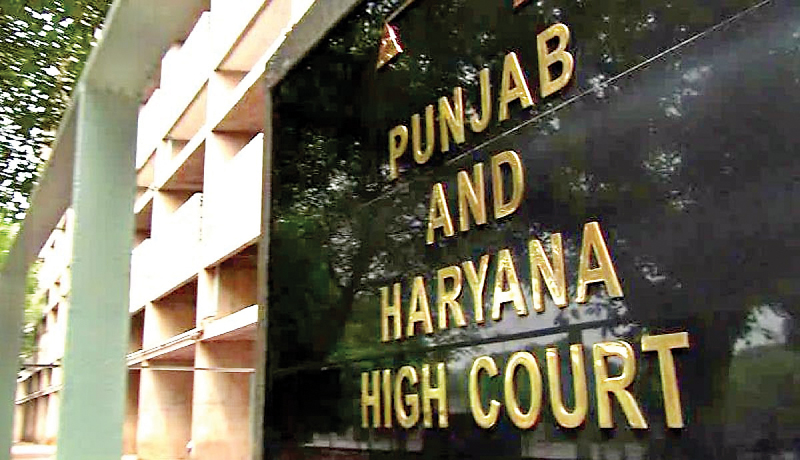 Punajab : पंजाब सरकार को झटका, हाई कोर्ट ने दिया वीआईपी सिक्योरिटी की समीक्षा का आदेश