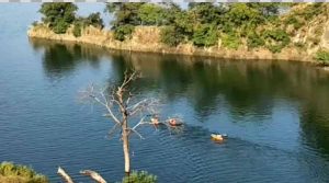 पौंग झील में तैरते मिले दो शव; नहीं हो पाई शिनाख्त, पुलिस ने पोस्टमार्टम को भेजे