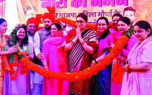 जरूरी है बेलगाम 'घोड़ों' पर अंकुश - divya himachal