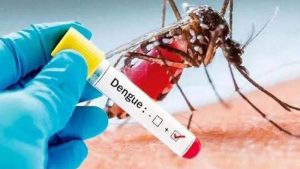 पंजाब में डेंगू का कहर, अब तक 9559 मामले आए सामने, 16 लोगों की गई जान