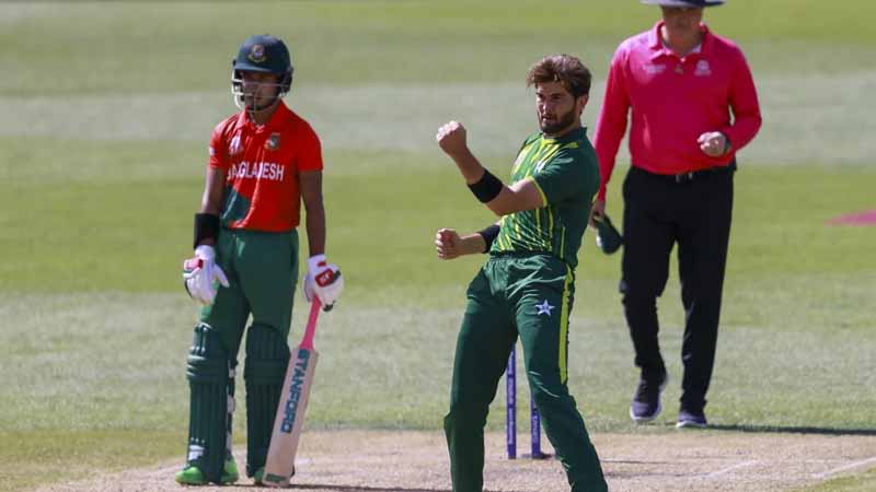 पाकिस्तान ने बांग्लादेश को 5 विकेट से हराया, लगातार दूसरी बार सेमीफाइनल में  बनाई जगह - divya himachal