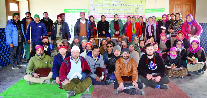 हार्टिकल्चरल मिनरल तेलों का हरित कली अवस्था पर करें छिडक़ाव