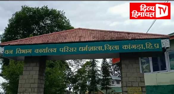 जिला में आगजनी की घटनाओं पर नियंत्रण पाने के लिए वन विभाग ने स्थापित किए 6 कंट्रोल रूम
