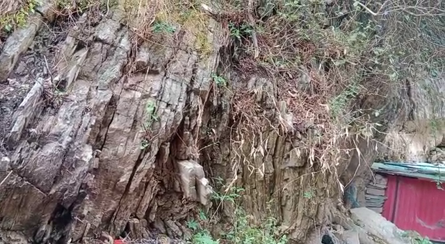 भागसूनाग में मिली 30 करोड़ वर्ष परानी चट्टानें, अब देश का पहला जिओ डायवर्सिटी पार्क बनने की संभावना