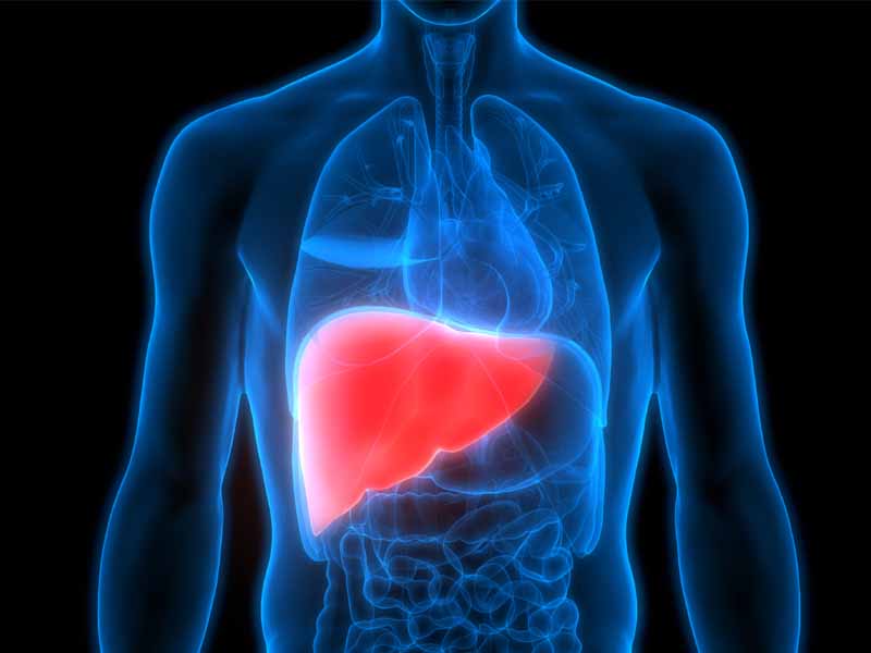 LIVER: शराब ही नहीं; दूसरी चीजोंं से भी खराब हो जाता है लिवर, जानिए क्या कह रहे हैं एक्सपर्ट…