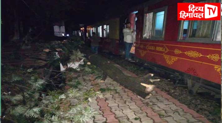 टकसाल रेलवे स्टेशन पर ट्रेन के सामने गिरा विशालकाय पेड़, आधा घंटा रुकी रही गाड़ी