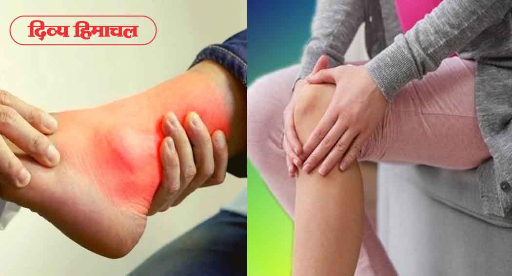 Uric Acid : अगर आपका भी बढ़ा है यूरिक एसिड, तो आपके लिए मददगार हो सकते हैं ये घरेलू उपाय