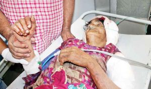 कुपाहड़ा में रीछ के हमले से महिला घायल