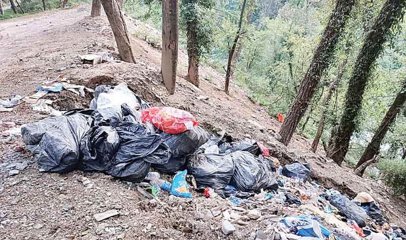 बनीखेत के होटल, ढलोग में कूड़ा-कर्कट