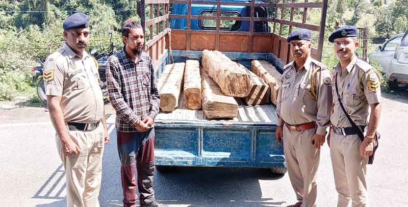 नाके पर पकड़ी देवदार की अवैध खेप