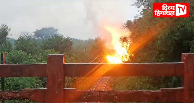 रेलवे की हाई वोल्टेज तार पर पेड़ गिरने से लगी आग