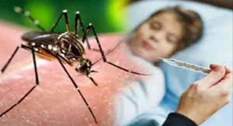 मानसून में कैसे करें डेंगू बुखार से बचाव… पढ़ें पूरी जानकारी
