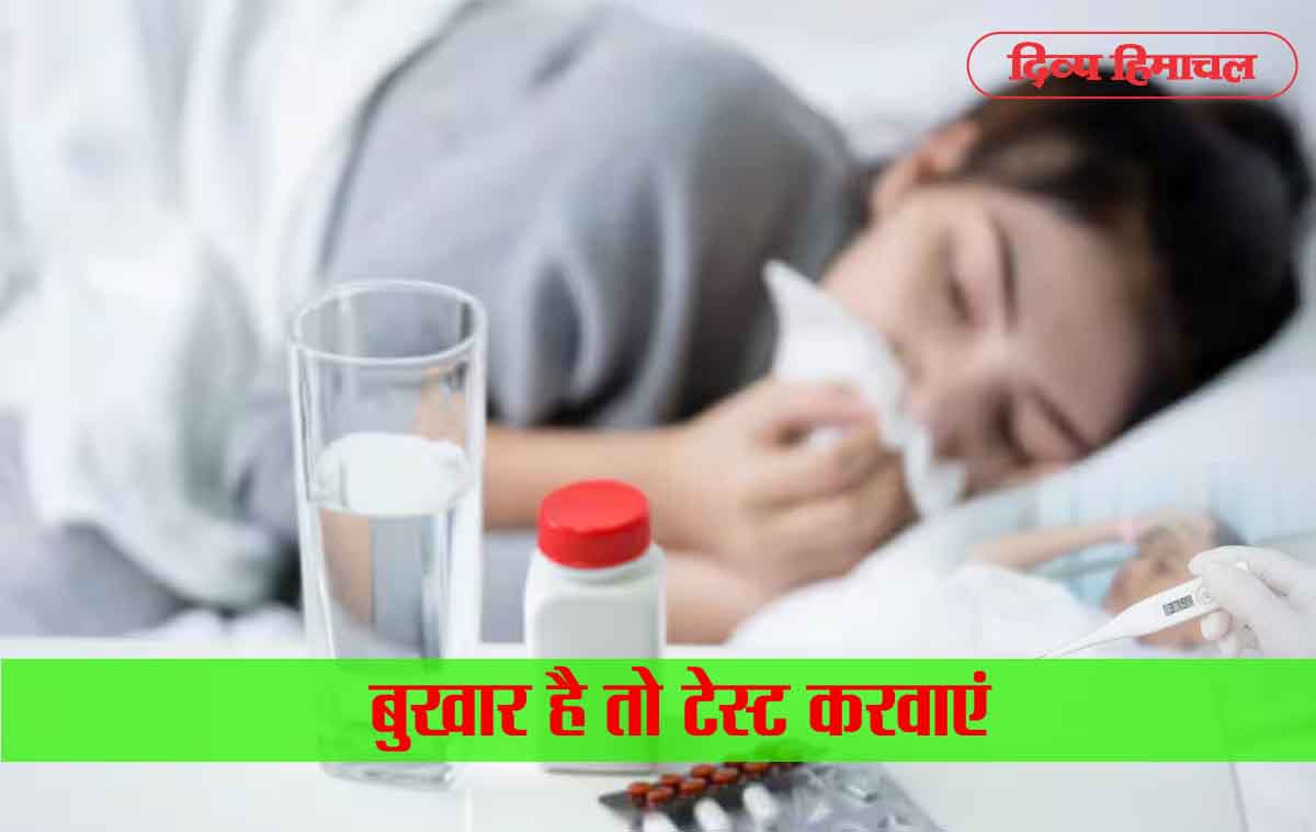 बुखार है तो पहले टेस्ट करवाएं, स्क्रब टायफस को लेकर निदेशक स्वास्थ्य सेवाएं ने जारी की एडवाइजरी