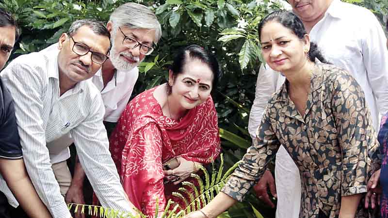 17वीं पर्यावरण पंचायत में रोपे पौधे, कार्यक्रम के दौरान कांग्रेस प्रदेशाध्यक्ष सुधा भारद्वाज ने किया संबोधित