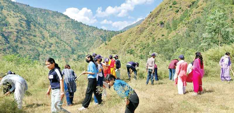 आनी कालेज में स्वच्छता ही सेवा की सीख