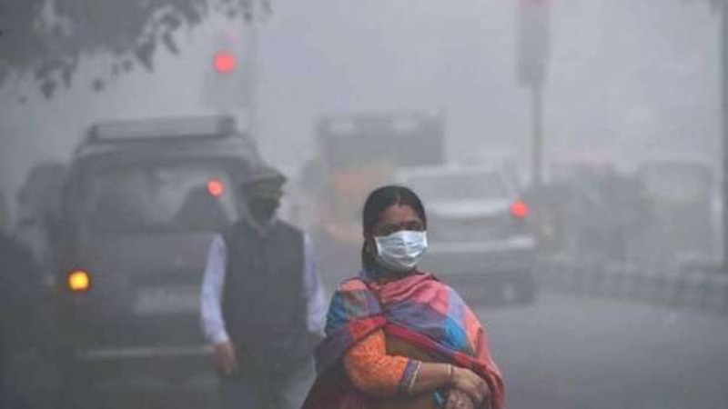 वायु प्रदूषण की वजह से 2017 के दौरान भारत में कितनी मौतें हुईं?