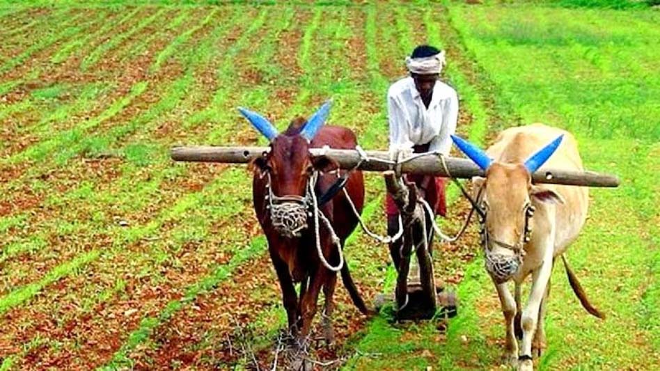 किसानों को बड़ी राहत, सिंचाई के लिए ट्यूबवेल पर बिजली सबसिडी बहाल, 4.04 रुपए प्रति यूनिट मिलेगा अनुदान