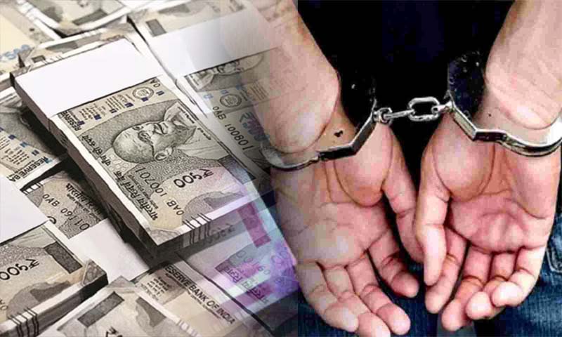 500 रुपए में बिल क्लर्क ने बेचा ईमान; विजिलेंस ने रिश्वत लेते रंगे हाथ पकड़ा, मामला दर्ज - Divya Himachal