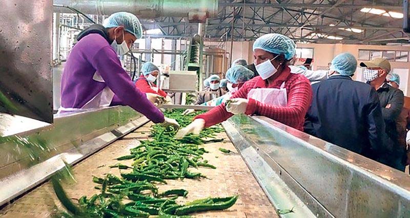 खाद्य प्रसंस्करण से बढ़े निर्यात-रोजगार