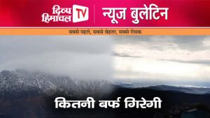 Divya Himachal TV न्यूज़ बुलेटिन 31 जनवरी  2024