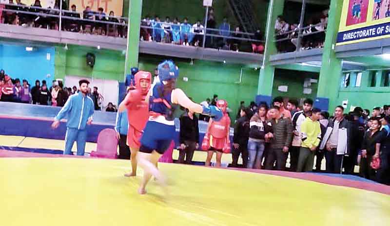 हिमाचल की वुशू टीम क्वार्टर फाइनल में, ऑल इंडिया इंटर यूनिवर्सिटी चैंपियनशिप की सांसू स्पर्धा में दमदार प्रदर्शन