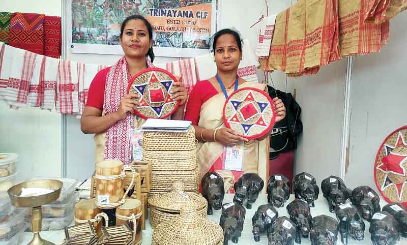 मंडी शहर पहुंचे असम के गेंडे, शिवरात्रि महोत्सव के सरस मेले में स्वयं सहायता समूह की प्रदर्शनी