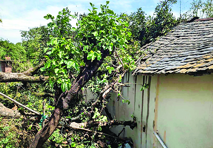 हमीरपुर में तूफान से तबाही , लाखों का नुकसान
