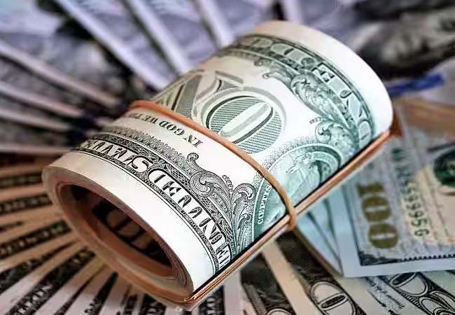 विदेशी मुद्रा भंडार 2.97 अरब डॉलर बढ़कर 619 अरब डॉलर के पार